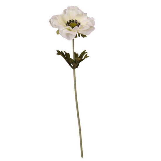 37cm SINGLE ANEMONE IVORY