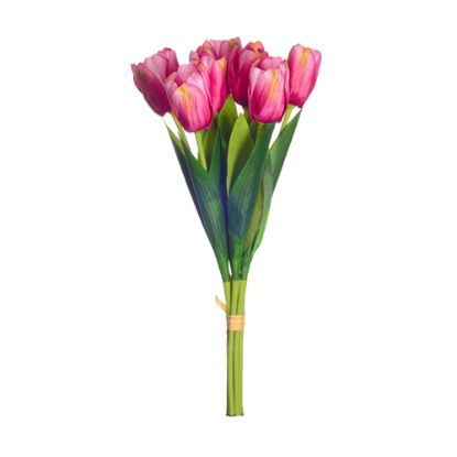 TULIP BUNDLE (7 STEMS) Fuchsia