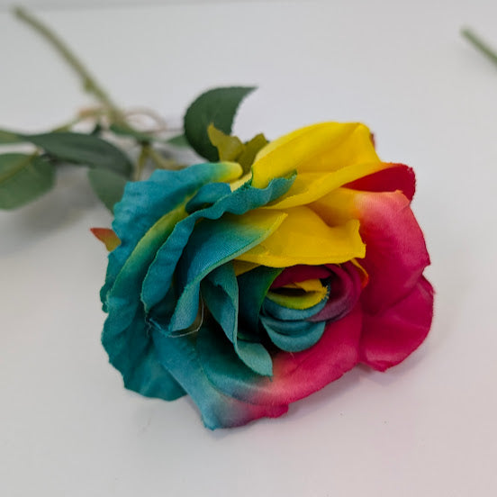 62cm SINGLE ROSE RAINBOW