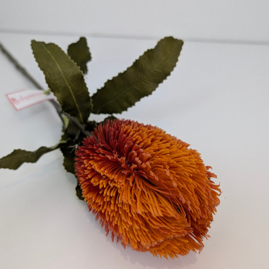 65cm LARGE BANKSIA  COLOUR ORANGE