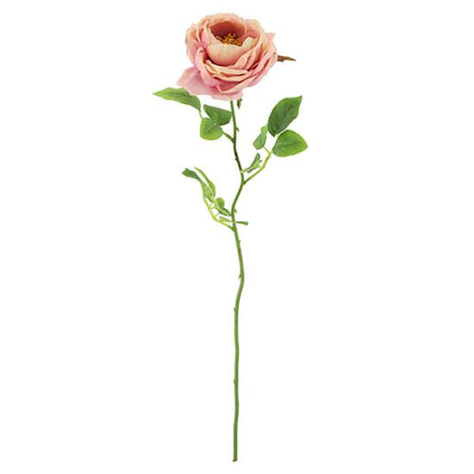 75cm Chloe English Open Rose in vintage pink