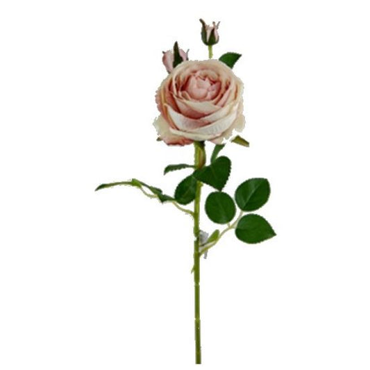 72cm LARGE PEONY SPRAY MINK