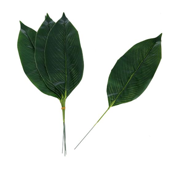 44cm ASPIDISTRA LEAF