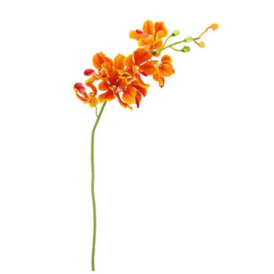 49cm MOKARA ORCHID SPRAY ORANGE