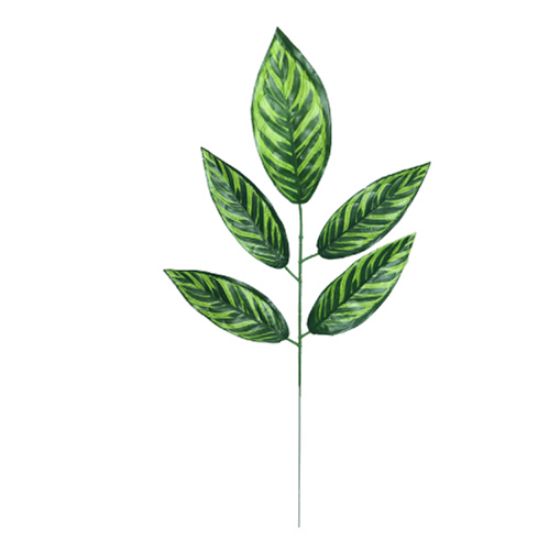 55cm LEAF SPRAY  varigated