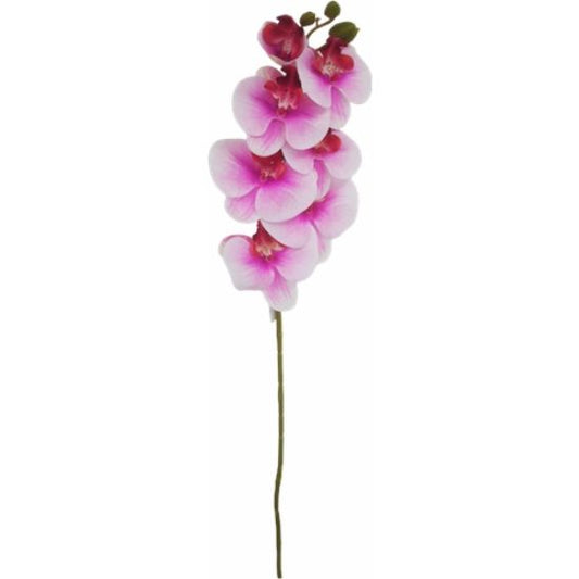 75cm PHALAENOPSIS ORCHID SPRAY FUCHSIA